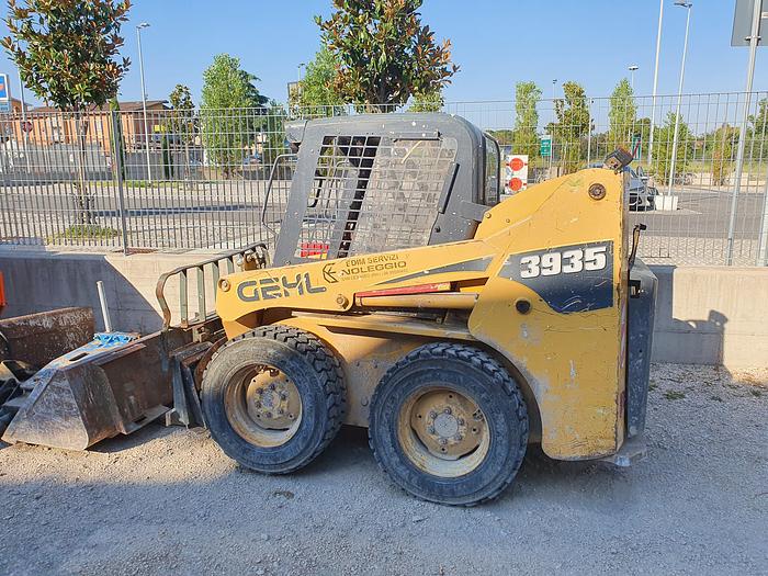 Usato Gehl 3935 SX