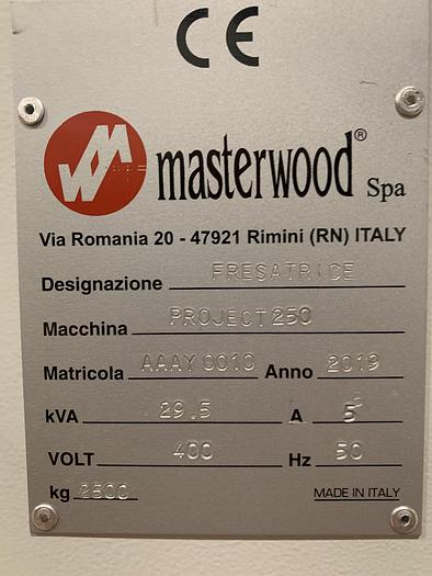 Usato 2019 MASTERWOOD PROJECT 250