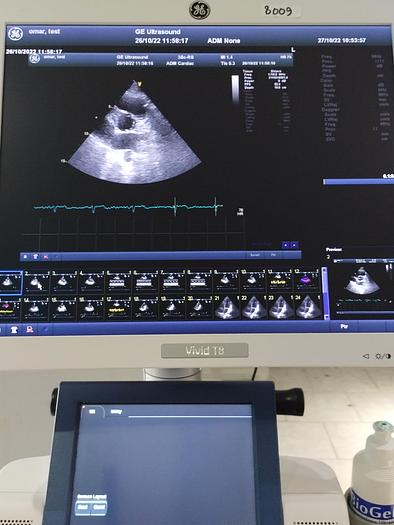 Gebraucht GE Vivid T8