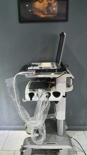 Gebraucht GE Vivid Q Ultraschallgerät
