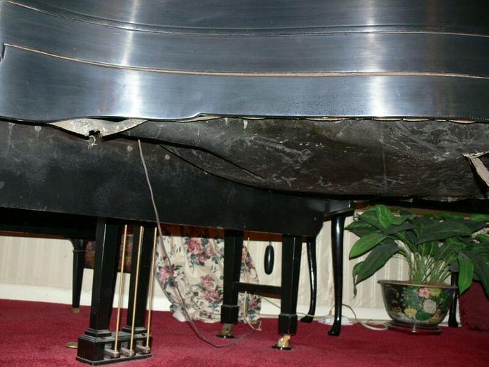 Used ANTIQUE EMERSON ELECTRIC PLAYER PIANO - BLACK SMALL GRAND W/ 38 QRS MUSIC ROLLS