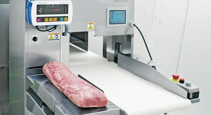 Nantsune Model NTD-165F Libra 165F 3D Frozen Fixed Weight Meat Slicer