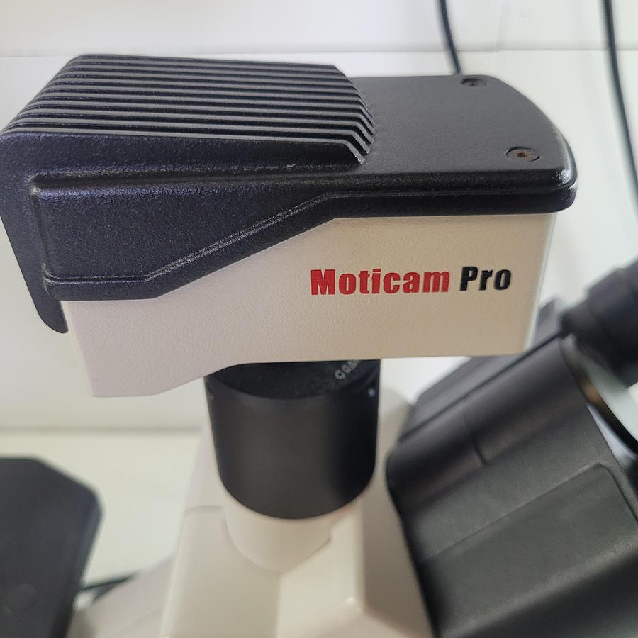 Used Motic AE31