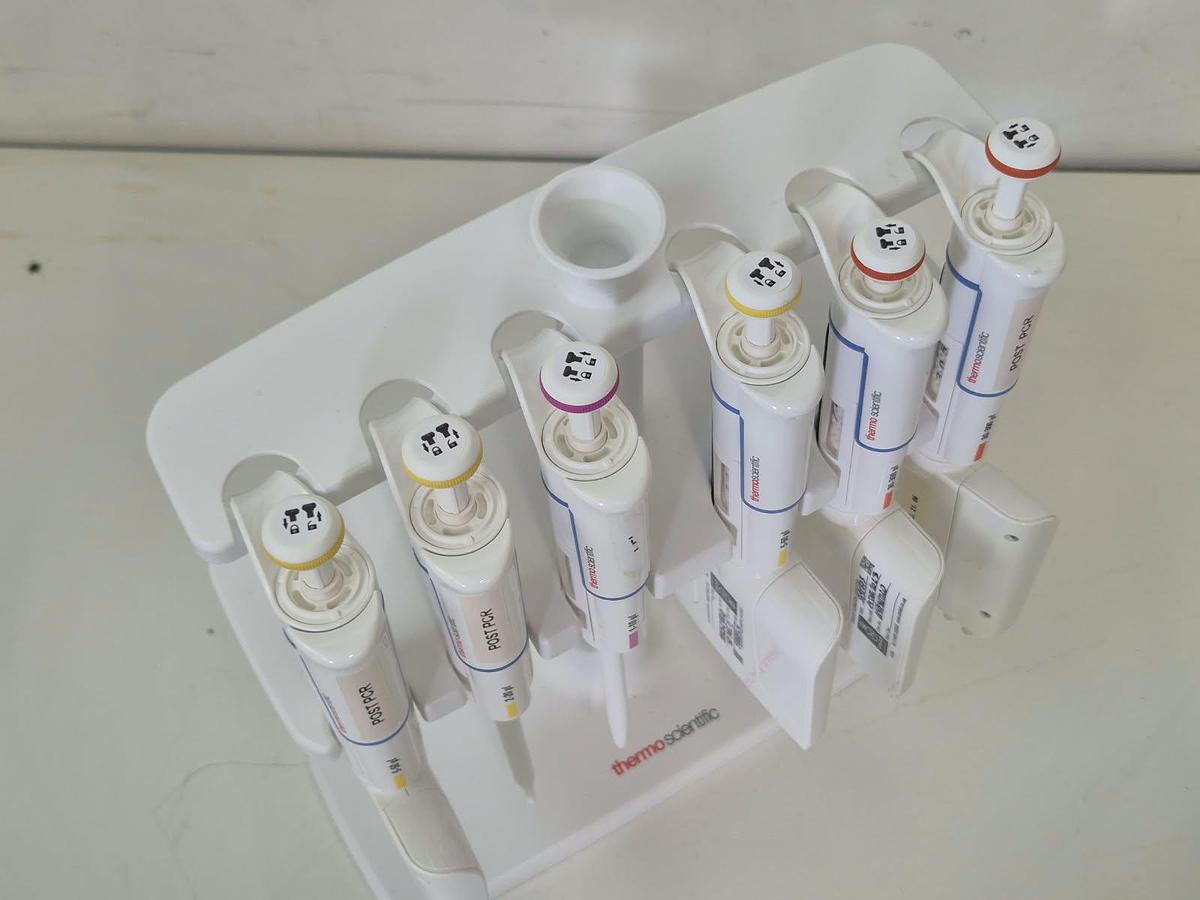 Used Finnpipette F 6 position pipett stand