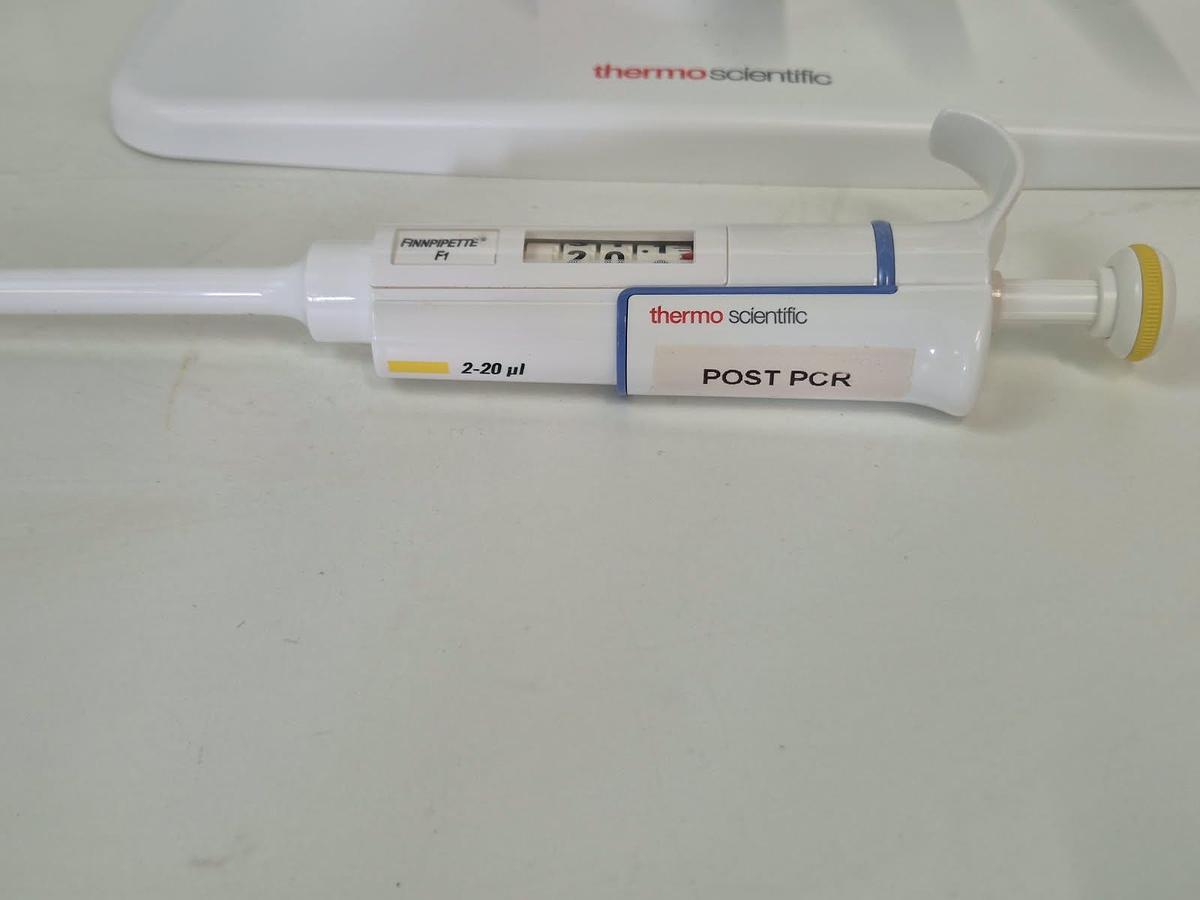 Used Finnpipette F 6 position pipett stand