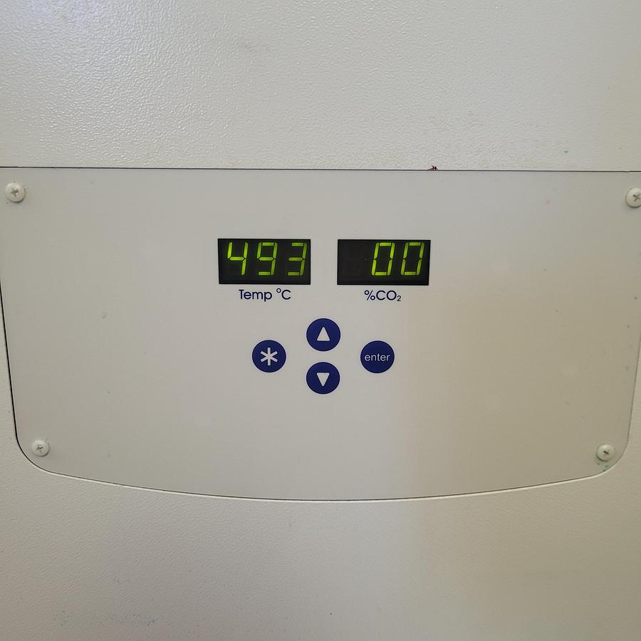Used New Brunswick  CO170S-230-1000