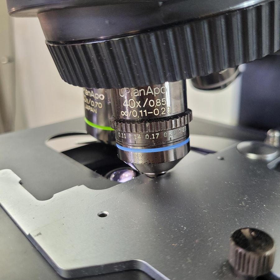 Used Olympus BX51TF