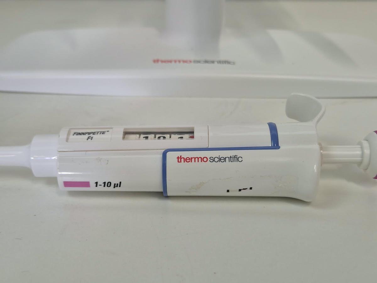 Used Finnpipette F 6 position pipett stand