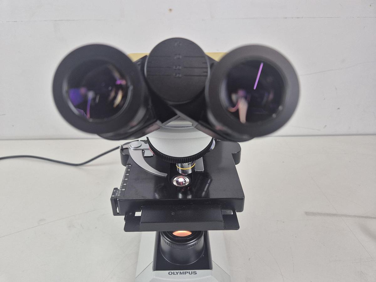 Used Olympus CX31RBSF Microscope