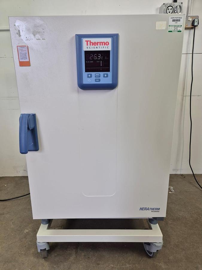 Used Thermo Scientific