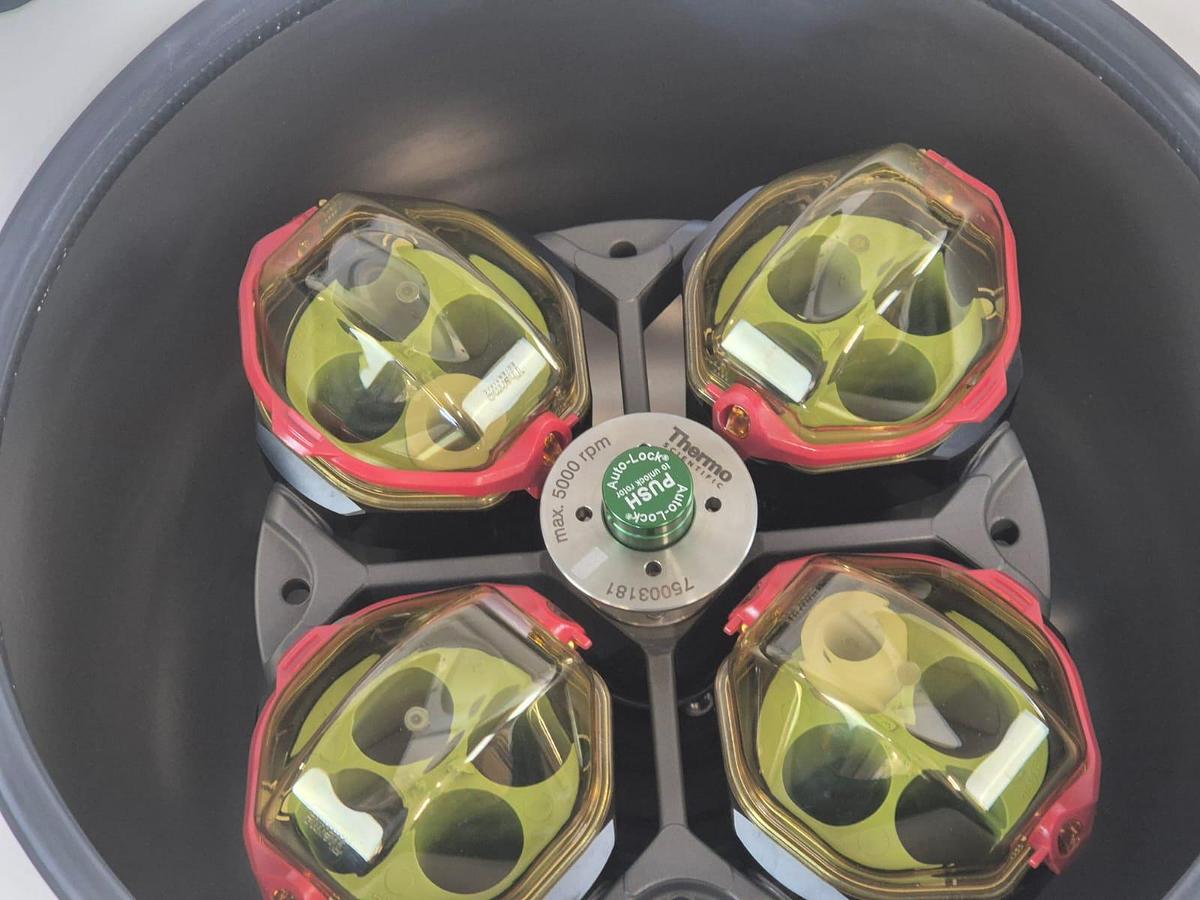 Used Thermo Scientific Multifuge XLR Centrifuge