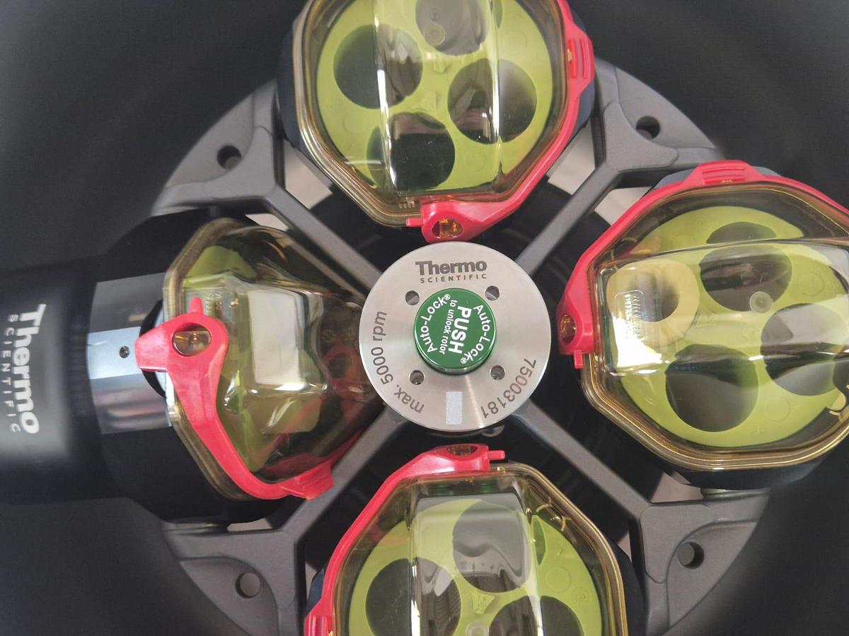 Used Thermo Scientific Multifuge XLR Centrifuge