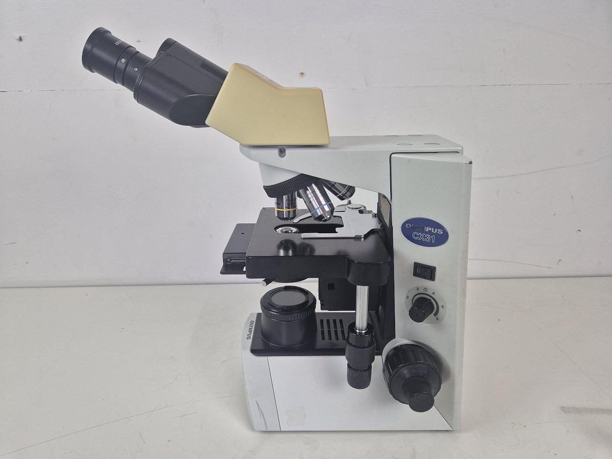 Used Olympus CX31RBSF Microscope