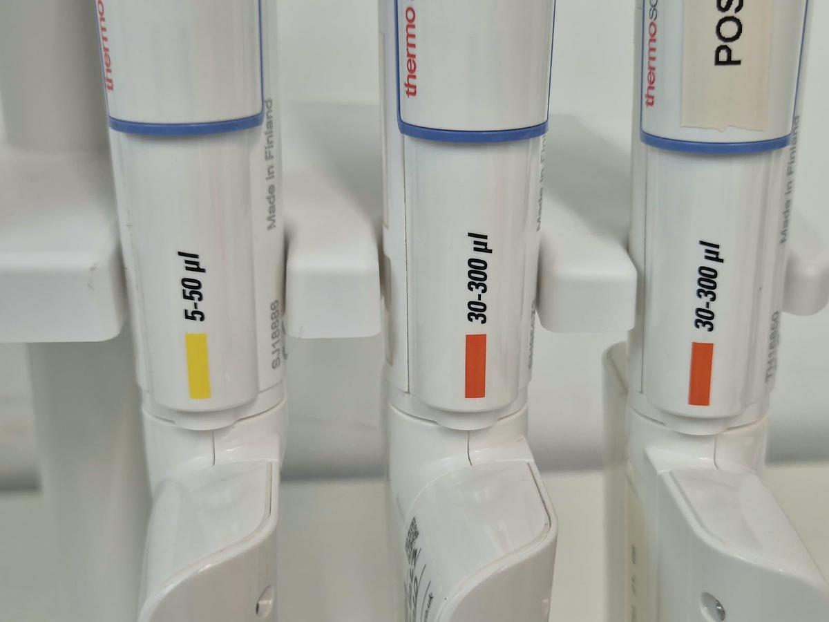 Used Finnpipette F 6 position pipett stand