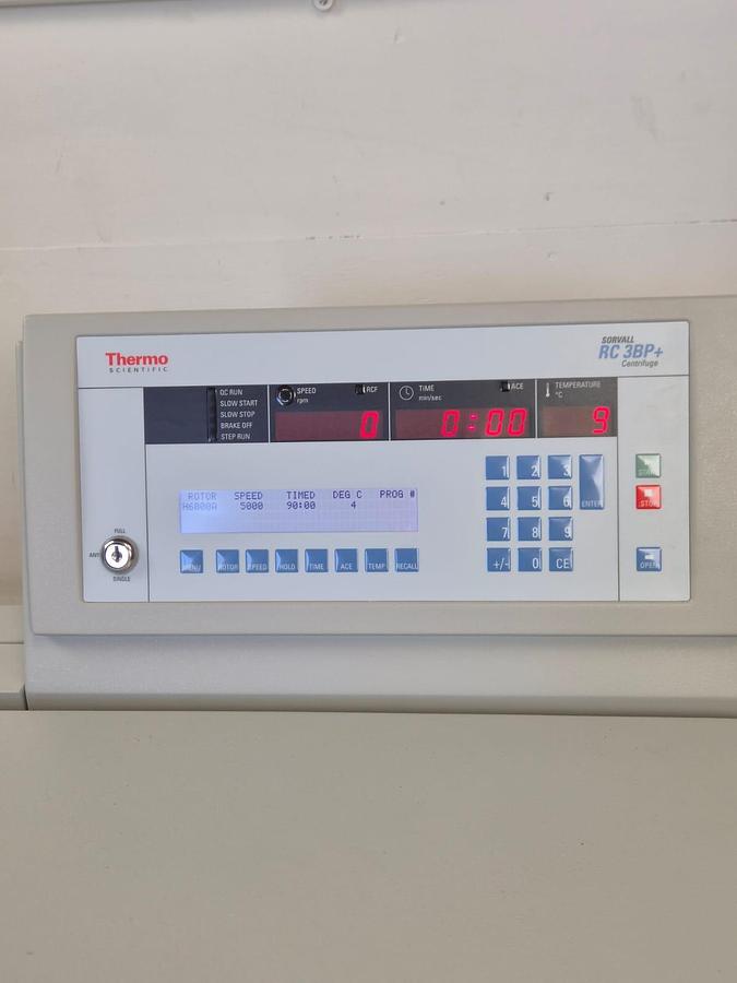 Used Thermo Fisher Scientific RC 3BP+ Centrifuge