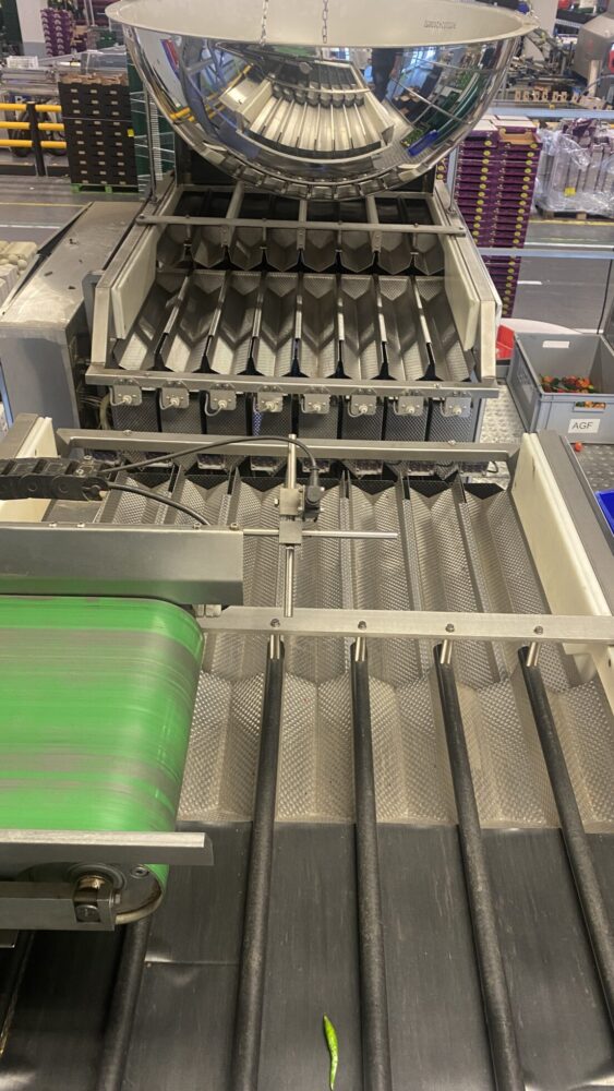 Used Manter weighing and Jasa packing line