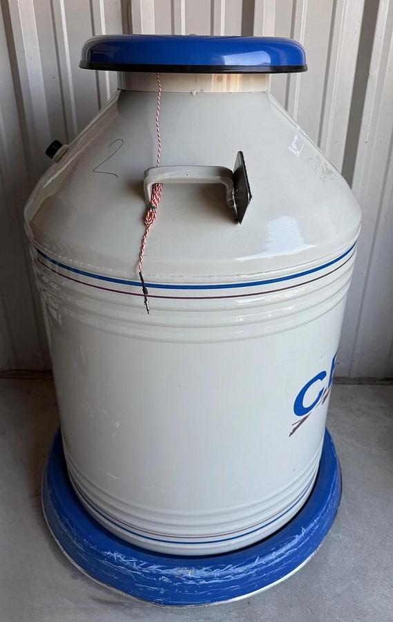 Used CBS Cryosystems 6002 Classic 175 Liter Nitrogen Tank