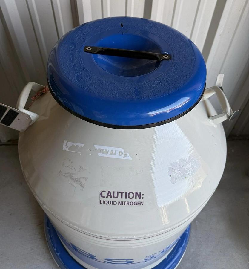 Used CBS Cryosystems 6002 Classic 175 Liter Nitrogen Tank