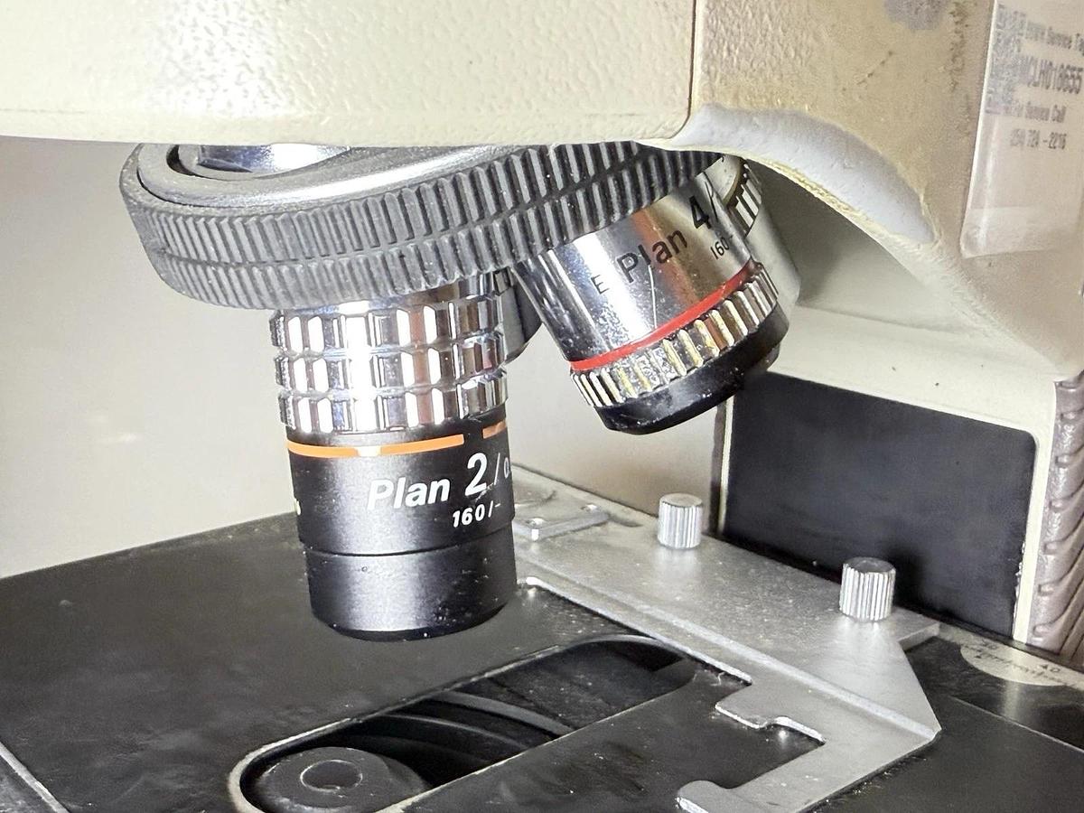 Used Nikon Labophot-2 Binocular Phase Contrast Microscope