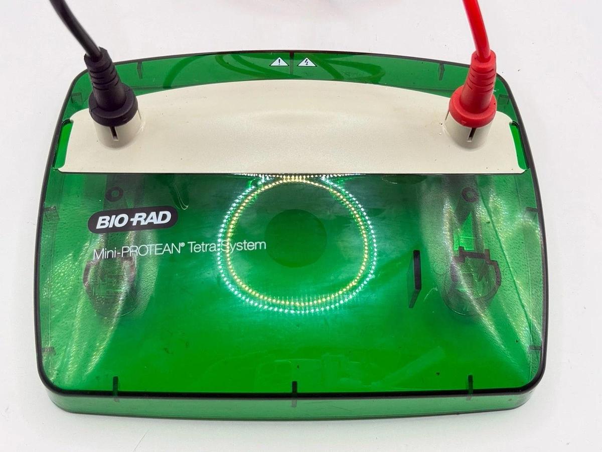 Used Bio Rad Bio-Rad Mini-PROTEAN Tetra System - Replacement part - Lid & Cables
