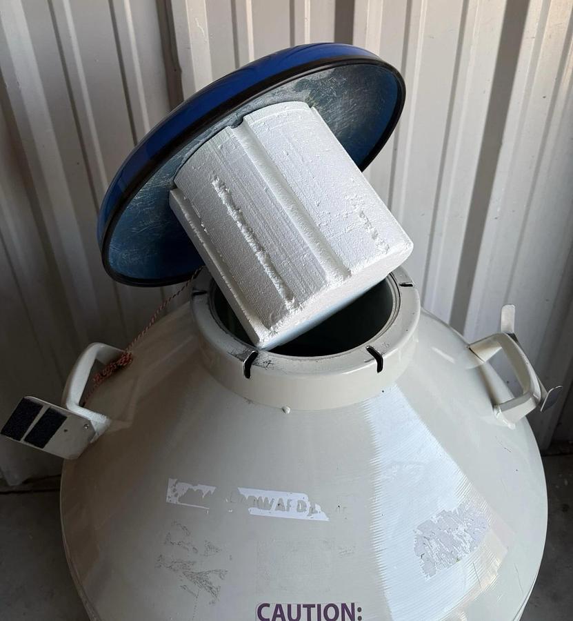 Used CBS Cryosystems 6002 Classic 175 Liter Nitrogen Tank