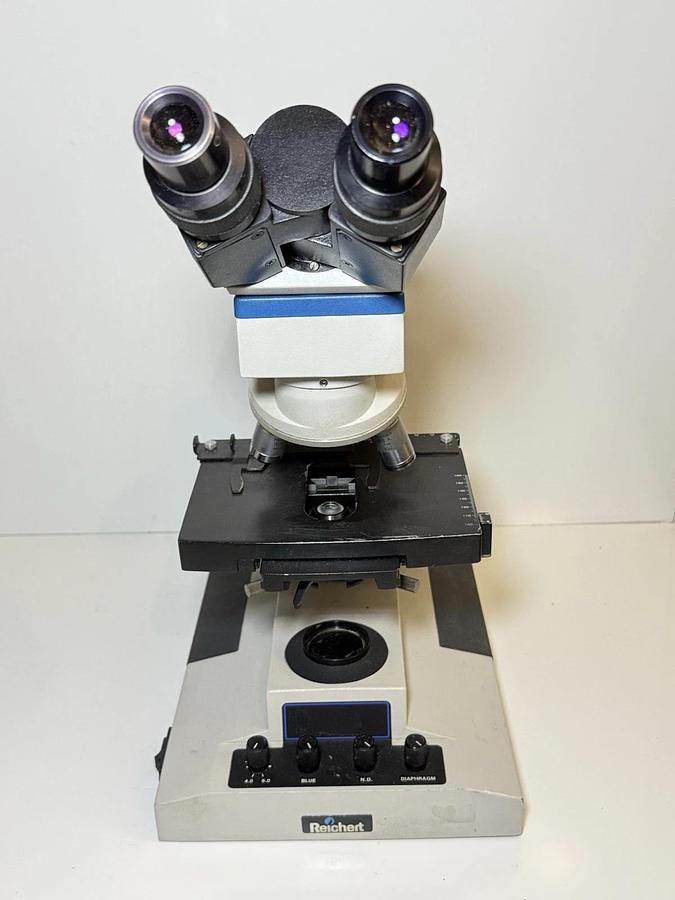Used Reichert Microstar IV Series Model 410 Compound Microscope - 4 Objectives