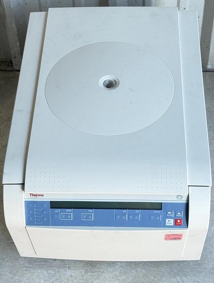 Used Thermo Fisher Scientific Sorvall ST16 Centrifuge REF: 75004241