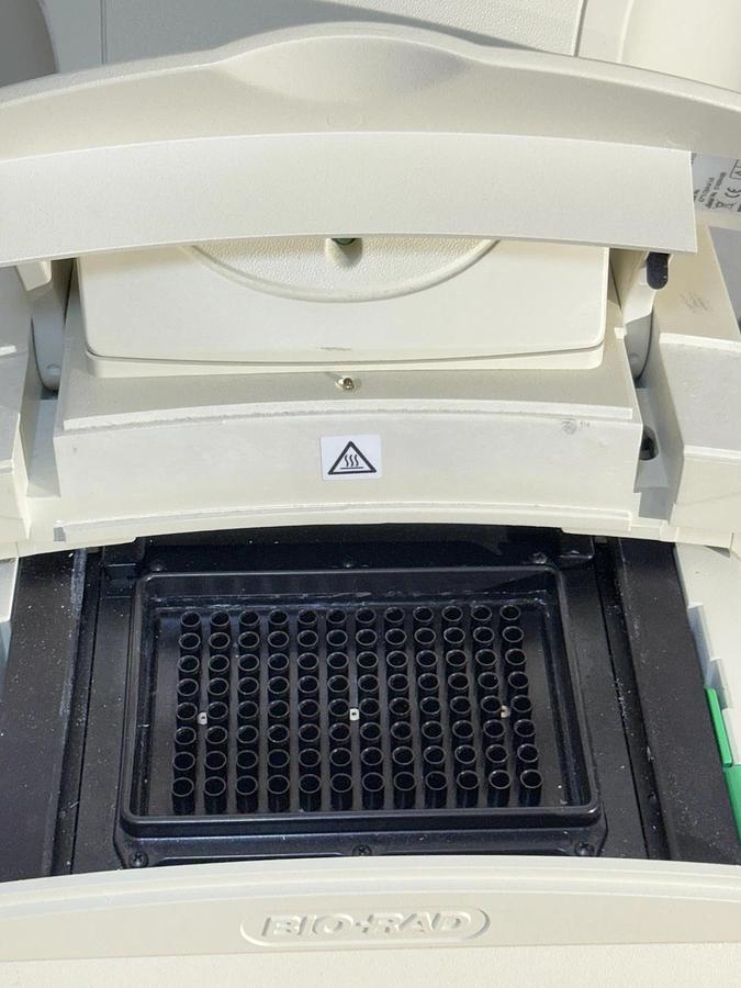 Used BIO-RAD Bio Rad iCycler MyiQ2 Two Color Real-Time PCR System