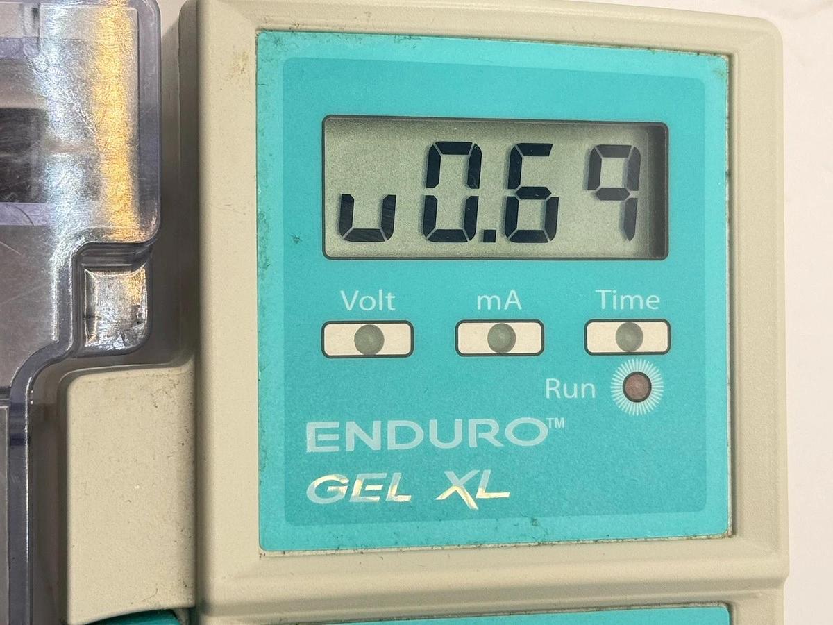 Used Labnet ENDURO™ Gel XL Horizontal Gel Electrophoresis System E0160