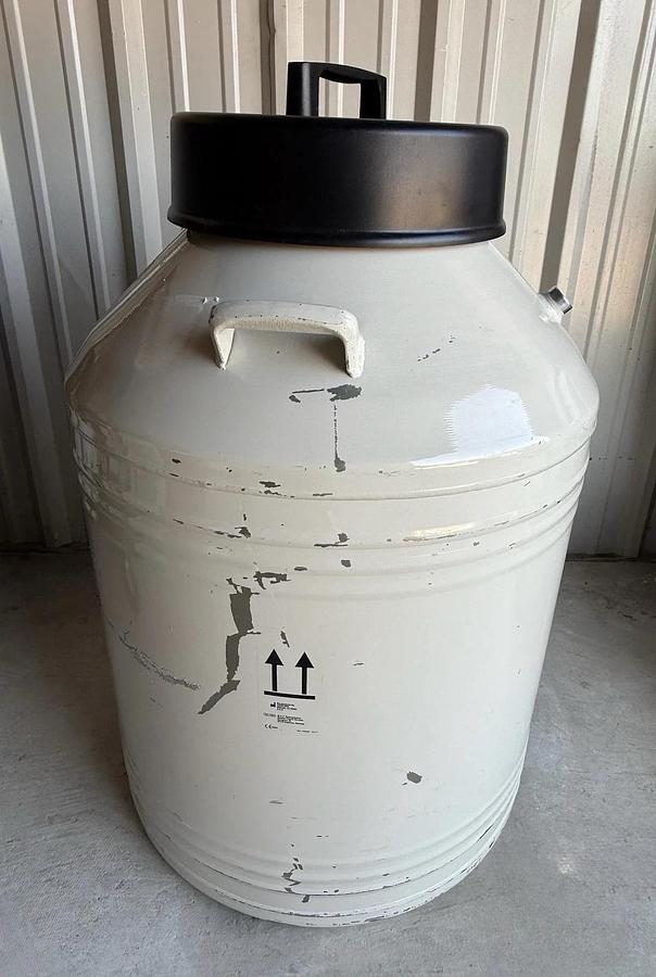 Used MVE CryoSystem 6000 Liquid Nitrogen Storage Tank – 175L LN2 Dewar – Holds 6000 V