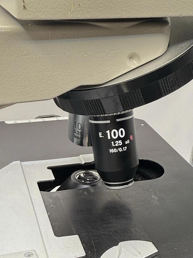 Used Nikon Labophot Laboratory Research Microscope w/ 2 Objectives