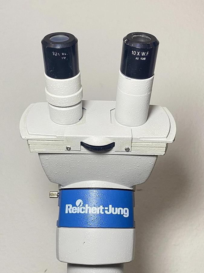 Used Reichert-Jung Series 150 Binocular Upright Laboratory Microscope