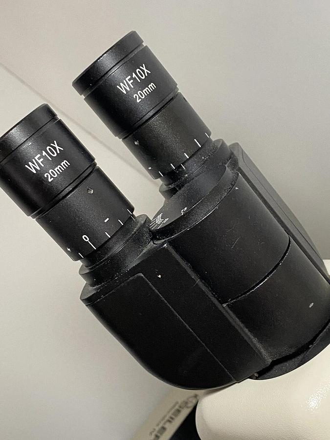 Used Seiler Microlux IV LED Compound Microscope With Objectives