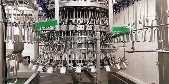 Used Systemate/Linco Evisceration Line