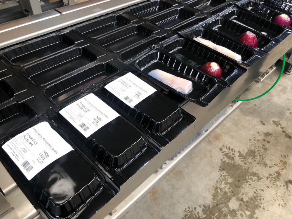 Used Multivac paper skin-pack thermoformer.