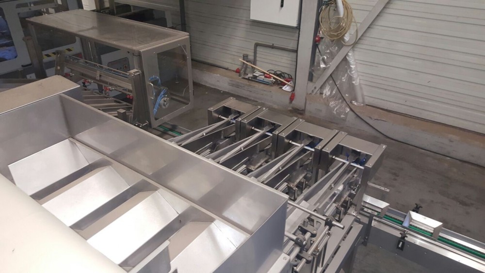 Used Newweigh lineair weighing and packing line