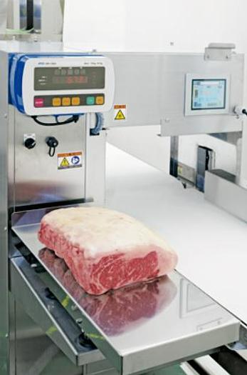 Nantsune Model NTD-300 Libra 300C Fixed Weight Meat Slicer