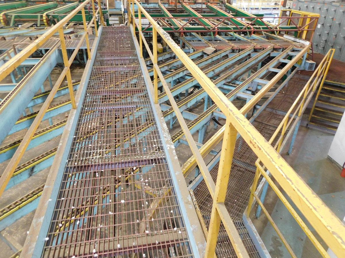 Used Newnes  24 Slant Tray Lumber Sorter