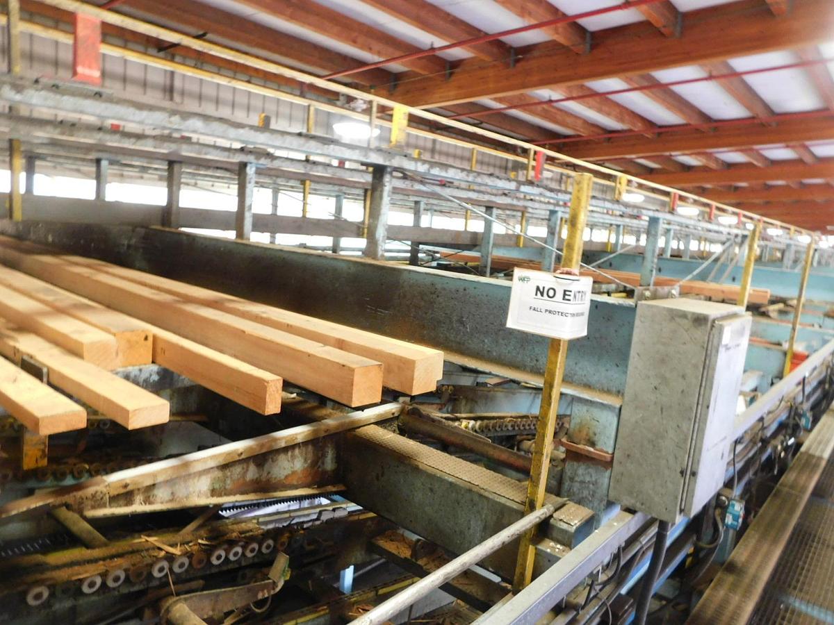 Used Newnes  24 Slant Tray Lumber Sorter