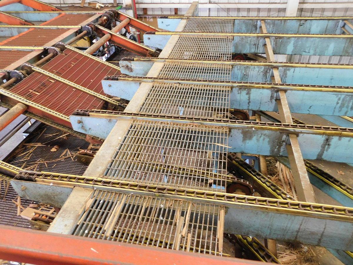 Used Newnes  24 Slant Tray Lumber Sorter