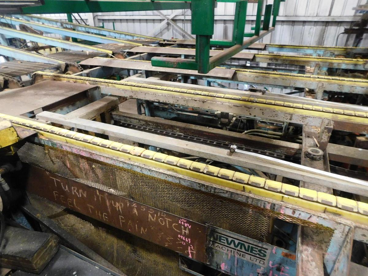 Used Newnes  24 Slant Tray Lumber Sorter