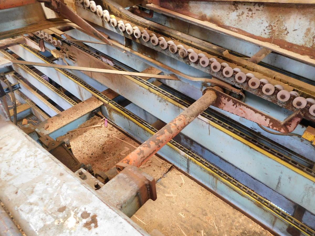 Used Newnes  24 Slant Tray Lumber Sorter