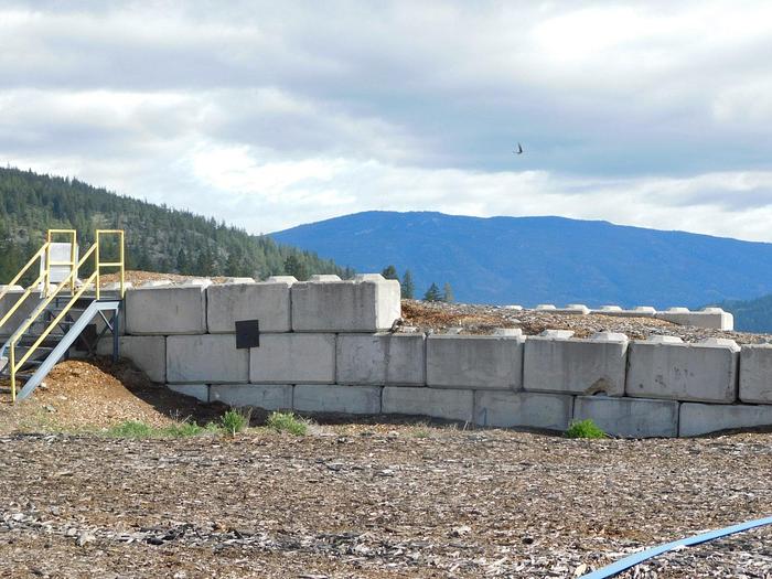 Used Whole Log Chip Plant