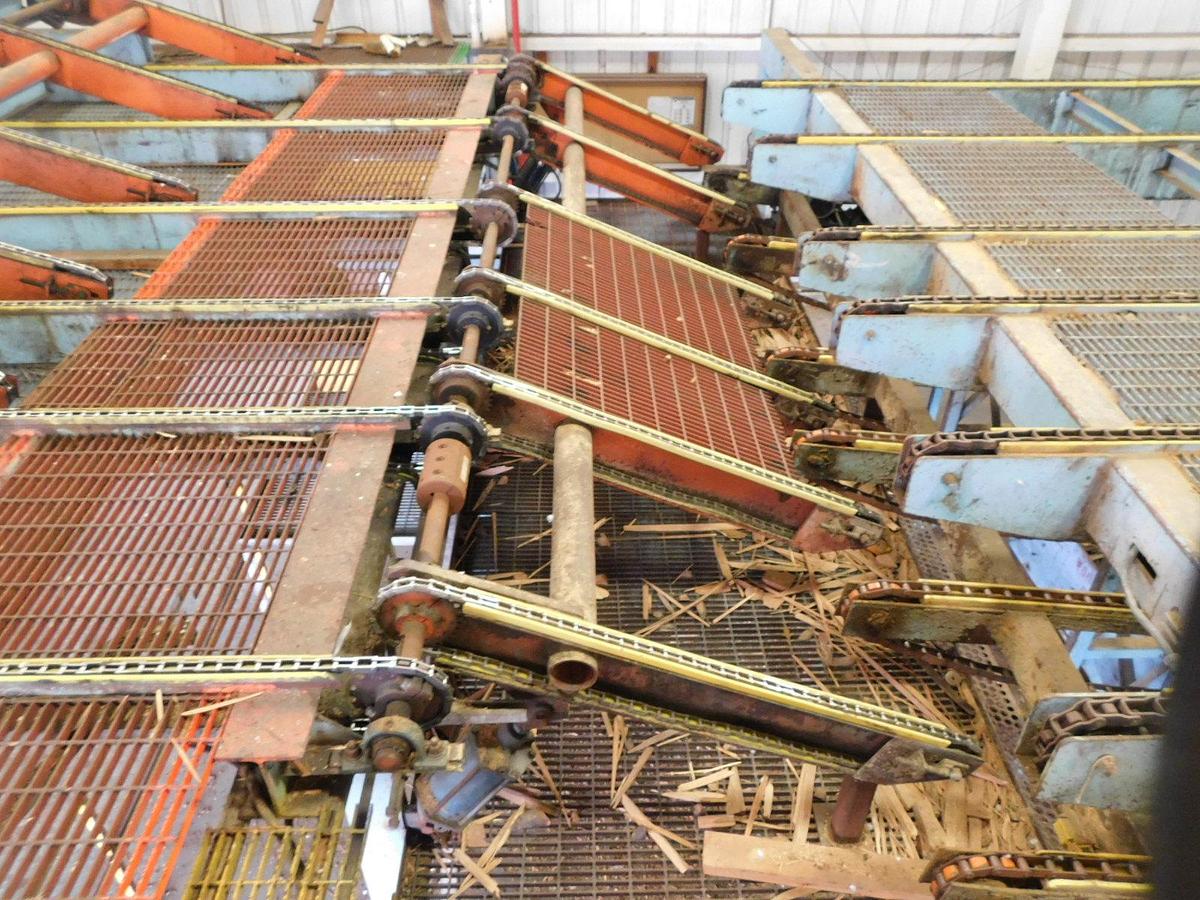 Used Newnes  24 Slant Tray Lumber Sorter
