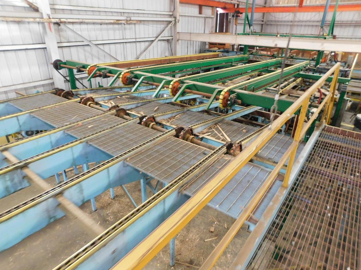 Used Newnes  24 Slant Tray Lumber Sorter