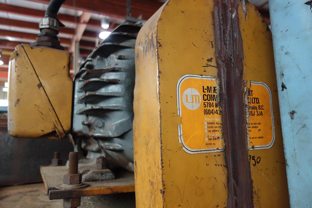 Used L-M Equipment 2 Saw Timber Deck