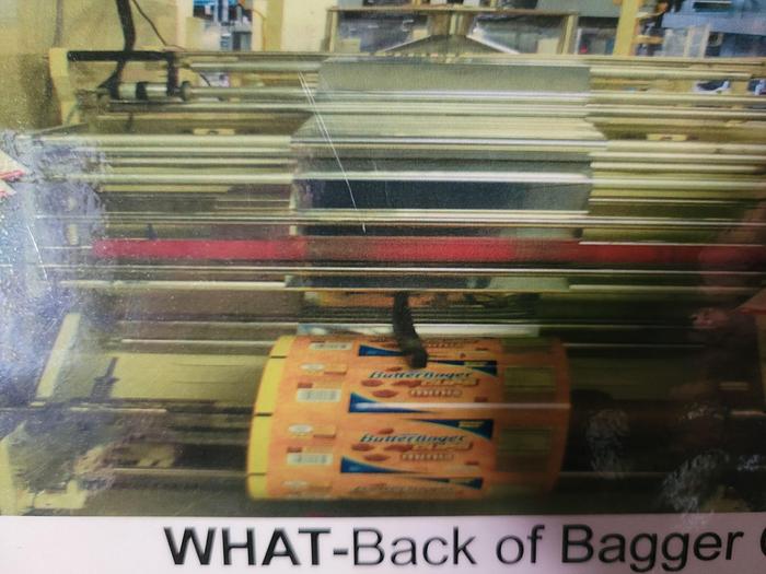 Used Rovema  VPR-250 Rotoseal Form Fill and Seal