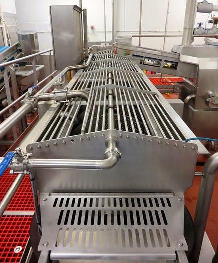 Used DUTCH TECSOURCE VEGETABLE WASHING AND STEAM BLANCHING LINE