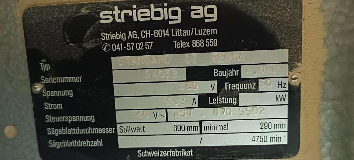 Used Striebig AG Standard III 5206A (1994) - Vertical panel saw - Austria