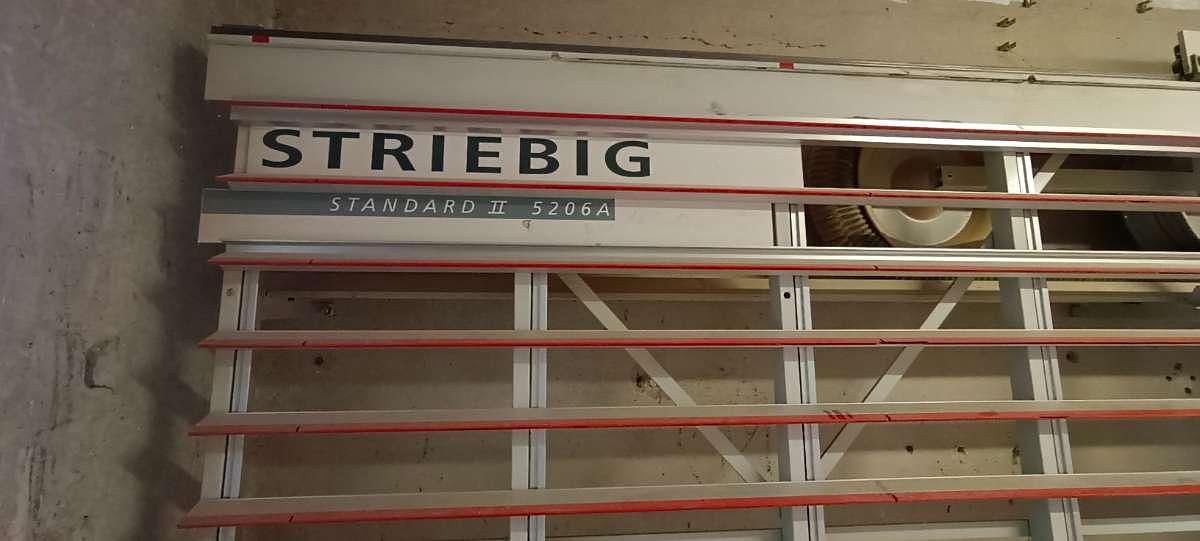 Used Striebig AG Standard III 5206A (1994) - Vertical panel saw - Austria